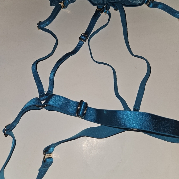 Honey Birdette Jade bustier size 36DD or 38D new - Picture 7 of 11